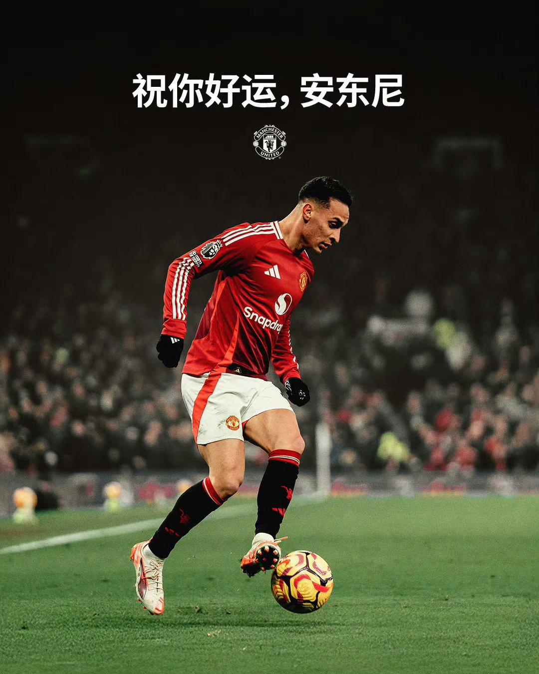 包含曼联新星崭露头角，未来或成球队顶梁柱，今年可是大学希望介绍.的词条
